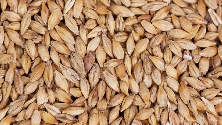 夏季該如何養胃比較好 夏日養胃推薦3類食品