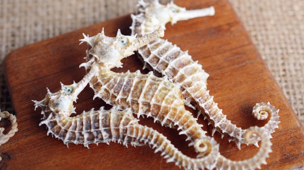 女人冬季進補有禁忌 冬季感冒千萬別進補-易網健康<a href=http://www.jsjjzhkt.cn/jkys/ target=_blank class=infotextkey>養生</a>網 女人冬季進補有禁忌 冬季感冒千萬別進補