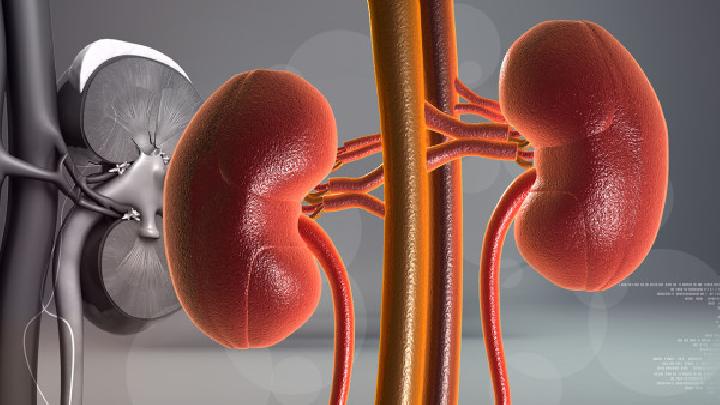 春季養生需注意哪些事項 春季養生不能只養肝不補腎