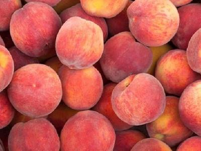 保持哪些好習慣才能養胃? 堅持4個好習慣養出好胃口