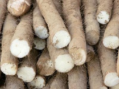 春季養生養肝吃什么好 春季養生養肝多吃三菜一粥