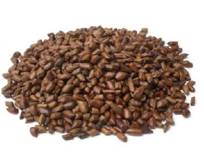 適合秋季滋補(bǔ)的中藥材有哪些 中醫(yī)送你這4款中藥材來(lái)補(bǔ)身