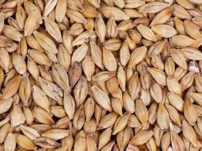 常見的養(yǎng)胃誤區(qū)有哪些 這5大養(yǎng)胃誤區(qū)不要再觸犯了!