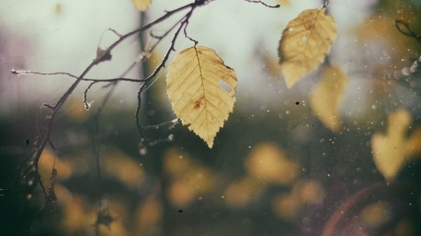 深秋養(yǎng)生，你該注意什么？