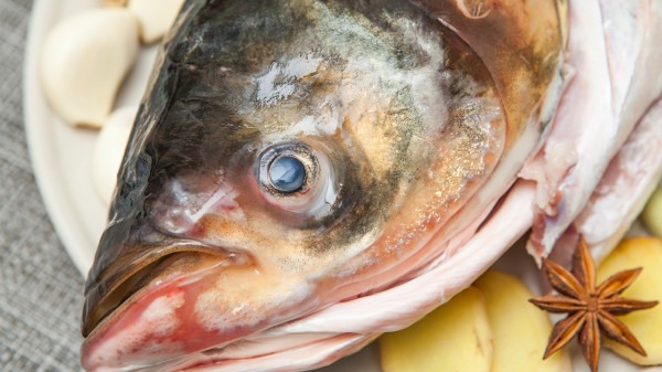 冬季多吃魚，吃魚的4好處