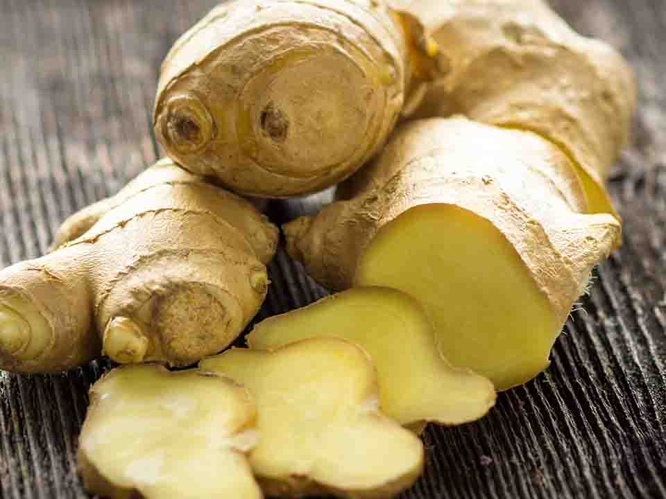 生姜能預防腸道疾病么-易網健康<a href=http://www.jsjjzhkt.cn/jkys/ target=_blank class=infotextkey>養生</a>網 生姜能預防腸道疾病么