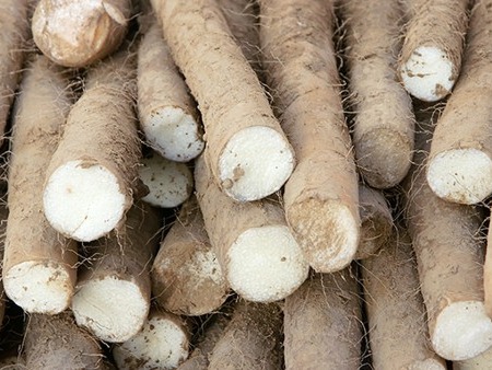 如何預防秋季上火?4種食物來敗火-易網<a href=http://www.jsjjzhkt.cn/ target=_blank class=infotextkey>健康養(yǎng)生</a>網 如何預防秋季上火?4種食物來敗火