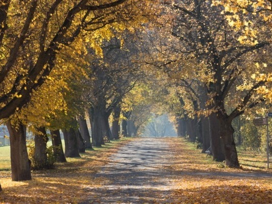 早睡早起,深秋養生指南來了-易網<a href=http://www.jsjjzhkt.cn/ target=_blank class=infotextkey>健康養生</a>網 早睡早起,深秋養生指南來了