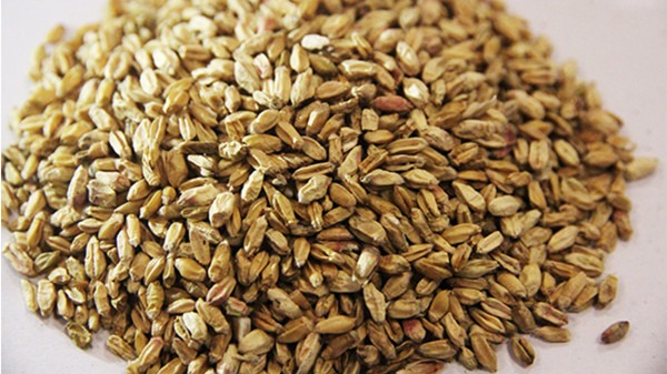 三伏天吃什么食物好 哪些食物能夠讓你安心度過三伏天-易網健康<a href=http://www.jsjjzhkt.cn/jkys/ target=_blank class=infotextkey>養生</a>網 三伏天吃什么食物好 哪些食物能夠讓你安心度過三伏天