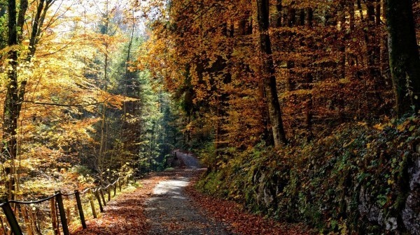 深秋養(yǎng)生，你該注意什么？