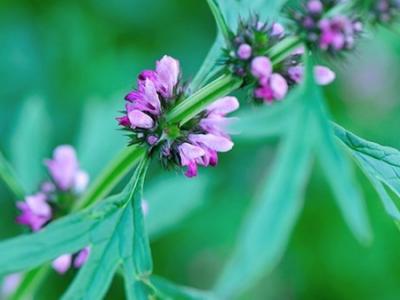 馬上就要進入秋季了 秋季養生你準備好了嗎？