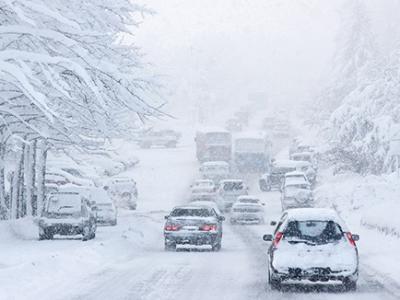 大雪駕到，養生吃這些