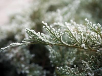 小雪節(jié)氣：健康養(yǎng)生5常識