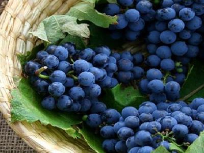 冬天手掌脫皮怎么改善 3招輕松冬季手腳脫皮現(xiàn)象