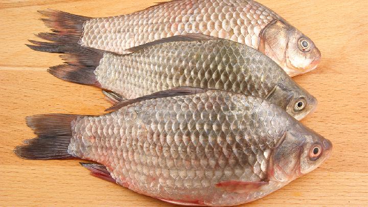 <a href=http://www.jsjjzhkt.cn/tags-春季養生.html target=_blank class=infotextkey>春季養生</a>應怎么健康補血 春季補血不可信的三大傳聞