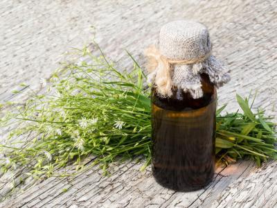 宮斗劇中的鶴頂紅真實存在嗎？它的毒性究竟如何