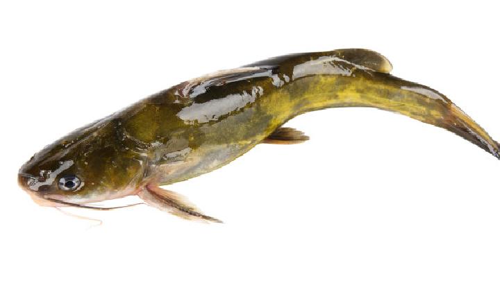 夏季吃羊肉的時候能喝酒嗎 夏季吃羊肉的應(yīng)注意哪些事項(xiàng)