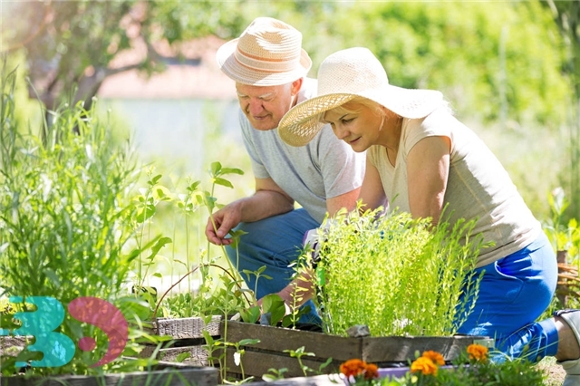 冬季養肺正當時,適合老年人潤肺止咳的食物推薦-易網健康養生網 冬季養肺正當時,適合老年人潤肺止咳的食物推薦