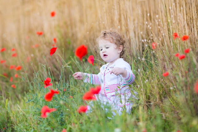 秋冬季<a href=http://www.jsjjzhkt.cn/jkys/ target=_blank class=infotextkey>養生</a>專業知識!你知道幾條?-易網<a href=http://www.jsjjzhkt.cn/ target=_blank class=infotextkey>健康養生</a>網 秋<a href=http://www.jsjjzhkt.cn/tags-冬季養生.html target=_blank class=infotextkey>冬季養生</a>專業知識!你知道幾條?