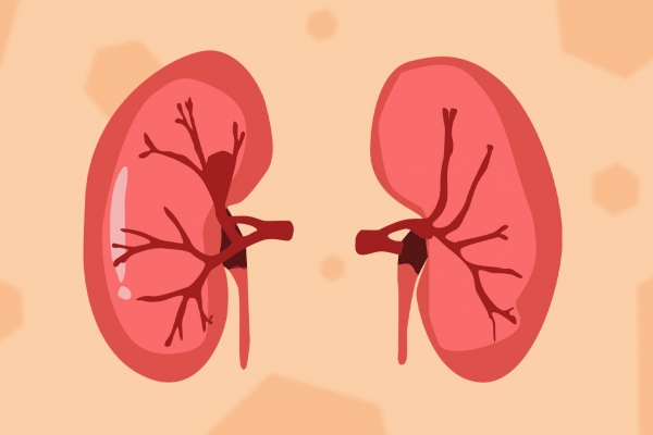 冬季怎么養(yǎng)腎補(bǔ)腎-易網(wǎng)<a href=http://www.jsjjzhkt.cn/ target=_blank class=infotextkey>健康養(yǎng)生</a>網(wǎng) 冬季怎么養(yǎng)腎補(bǔ)腎