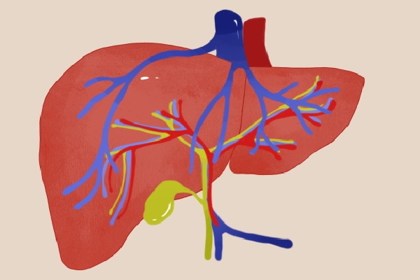 秋季肝火旺盛怎么調理