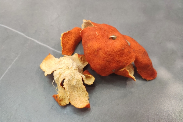 冬季養(yǎng)胃喝什么茶好