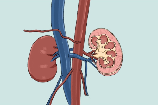 冬季怎么養(yǎng)腎補(bǔ)腎-易網(wǎng)健康<a href=http://www.jsjjzhkt.cn/jkys/ target=_blank class=infotextkey>養(yǎng)生</a>網(wǎng) 冬季怎么養(yǎng)腎補(bǔ)腎
