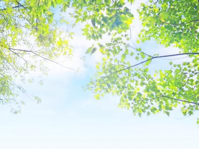 什么時候三伏天