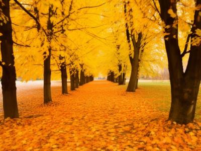 秋季養(yǎng)生的六個(gè)要點(diǎn)