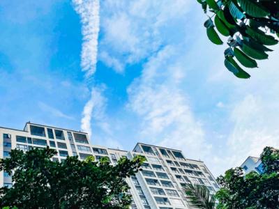 三伏天都是40天嗎