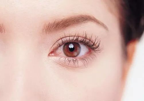 角膜塑形鏡能控制近視嗎? 角膜塑形鏡能控制近視嗎?