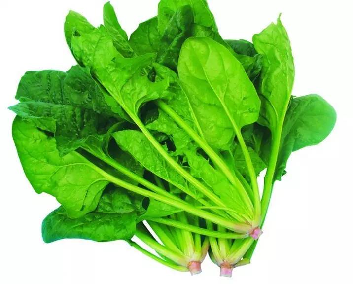 眼睛最愛的十件事,你了解多少? 眼睛最愛的十件事,你了解多少?