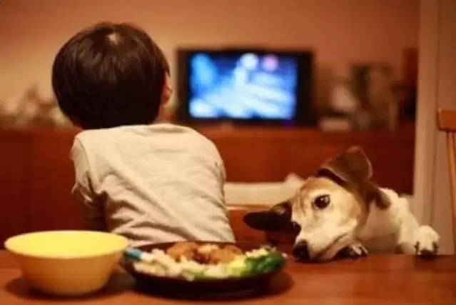 斜弱視是眼病,治療要趁早 斜弱視是眼病,治療要趁早