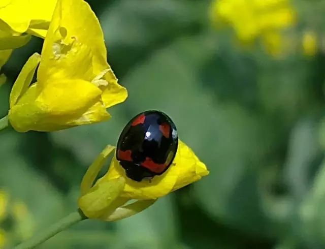 20個生活中的急救常識 20個生活中的急救常識