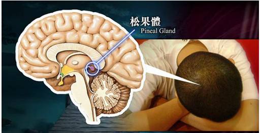 小小夜燈傷害的不僅僅是寶寶的眼睛! 小小夜燈傷害的不僅僅是寶寶的眼睛!