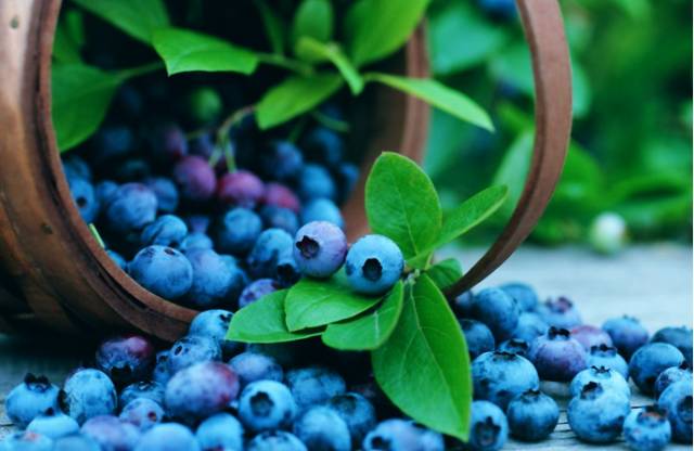 想寶寶視力好，一定要把握孕早期！