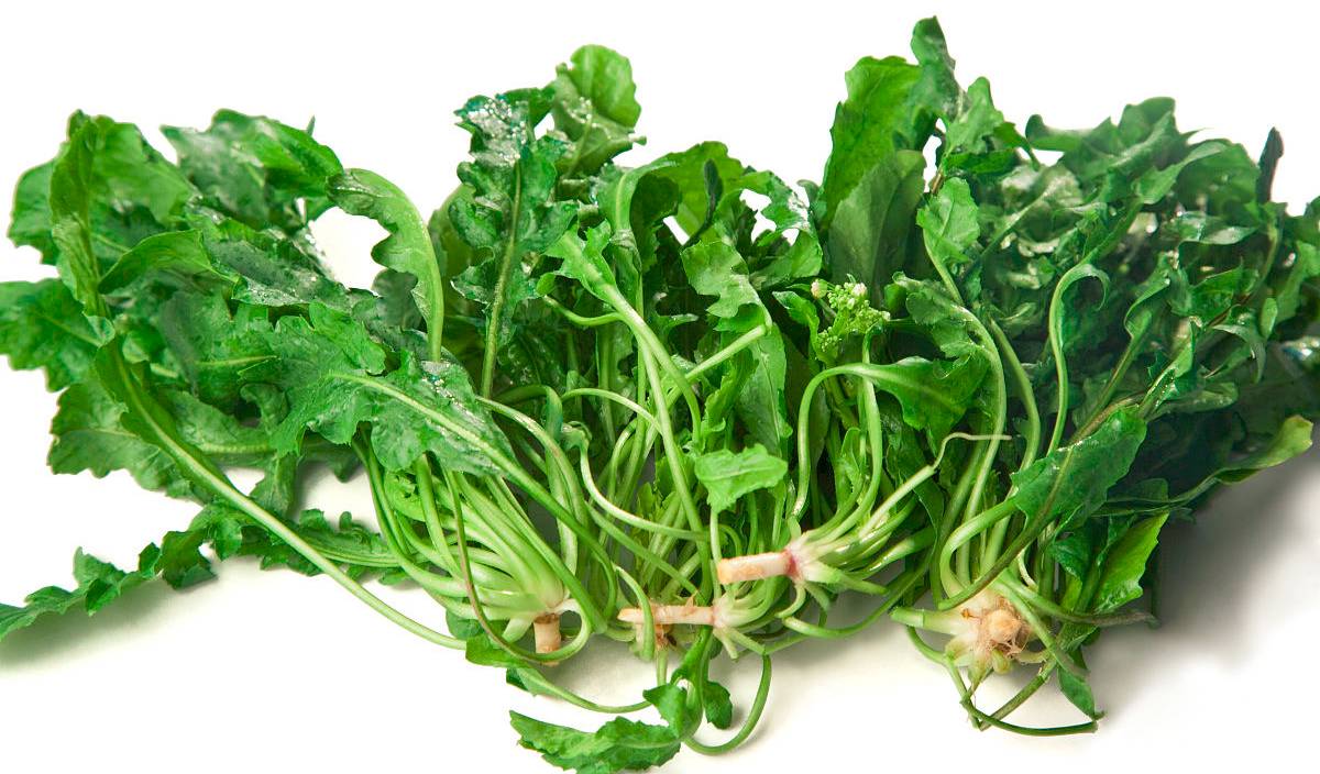 這5種食物不僅營養美味,還能保護視力! 這5種食物不僅營養美味,還能保護視力!