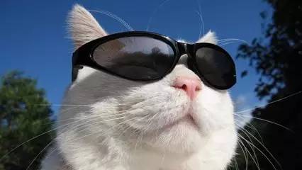 你懂得如何“保養”你的眼鏡嗎？