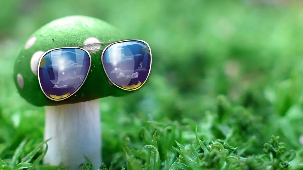 如何給孩子選擇太陽鏡? 如何給孩子選擇太陽鏡?