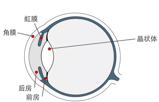 哪些才是眼科必查項目? 哪些才是眼科必查項目?