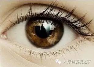 眼睛的十五個秘密,你知道嗎? 眼睛的十五個秘密,你知道嗎?