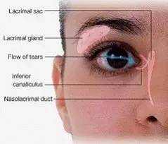 點眼藥水的正確步驟和姿勢