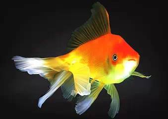 教你兩妙招巧防干眼癥 教你兩妙招巧防干眼癥