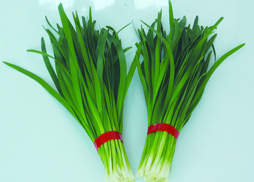 呵護視力,哪些食物能幫你護眼呢? 呵護視力,哪些食物能幫你護眼呢?