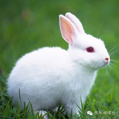 警惕夏季7大高發病！