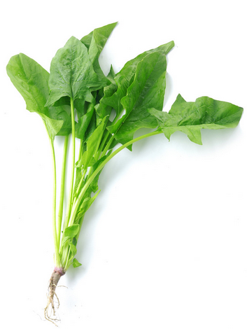 秋季護眼對抗干燥大攻略！