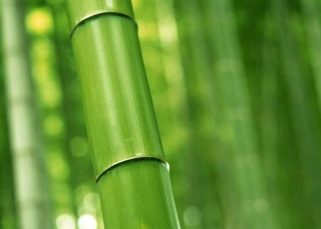 20個生活中的急救常識 20個生活中的急救常識