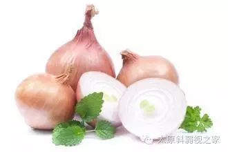 眼睛干澀疲勞,飲食與按摩兩步保健 眼睛干澀疲勞,飲食與按摩兩步保健