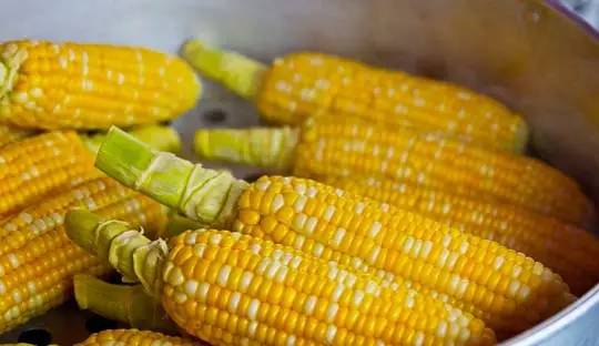 眼睛愛“吃”的十種食物 眼睛愛“吃”的十種食物