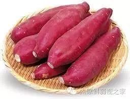 眼睛干澀疲勞,飲食與按摩兩步保健 眼睛干澀疲勞,飲食與按摩兩步保健